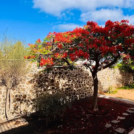 Kishni, Peaceful And Luxury * Arrecife (Lanzarote)